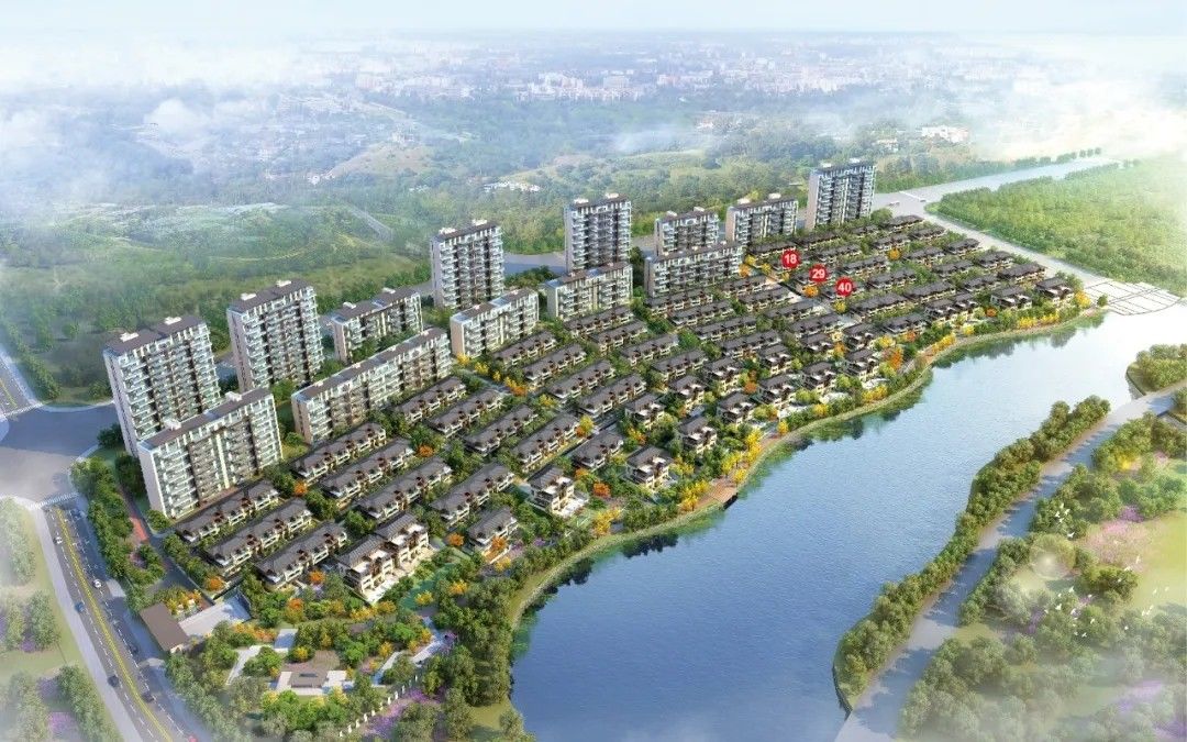 城区|最新！日照主城区土拍楼面地价排行榜前20名出炉