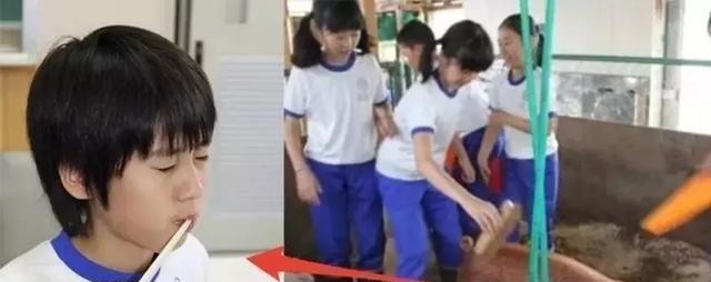 宠物鸡|日本最“变态”的生命课亲自养,亲手杀,亲口吃,孩子崩溃大哭