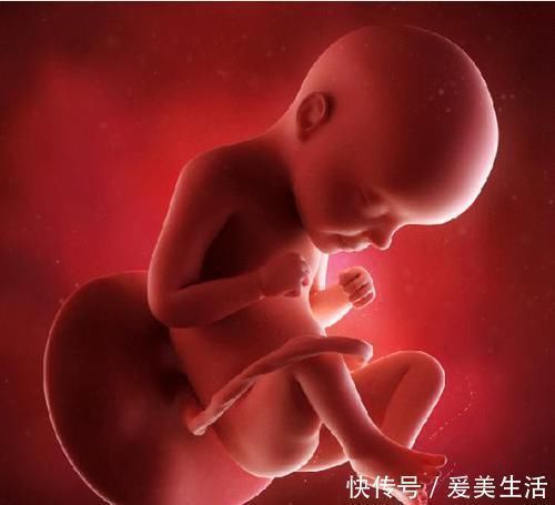 b超|宝宝的性别是什么时候决定的,是受精时还是受精后呢