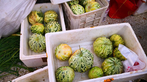 晓峰|后天立秋,老妈叮嘱我:“三不吃、三不睡、三不做”,自律保健康