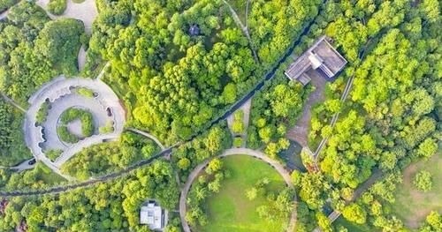 水谷精微|上热下寒中焦不通，1个食方2个动作，疏通淤堵、平衡寒热