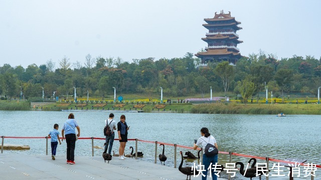 人与自然|秋高气爽宜出游，郑州园博园游人如织