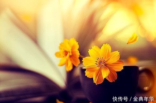  花前|有意花前风带笑，无心月下柳含愁；八首闲赋诗，散乱青丝换白头