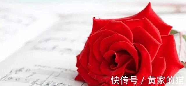 玫瑰|塔罗占卜：4朵玫瑰，你觉得哪朵最先枯萎？测你在多少岁会显老！