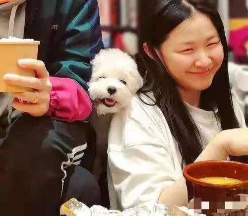 我是谁|地下恋说漏嘴！和大导演马上要结婚？