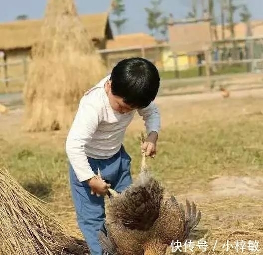 夫妻俩|5岁儿子奶奶带，3岁女儿姥姥带，半月后宝妈哭笑不得，网友笑炸