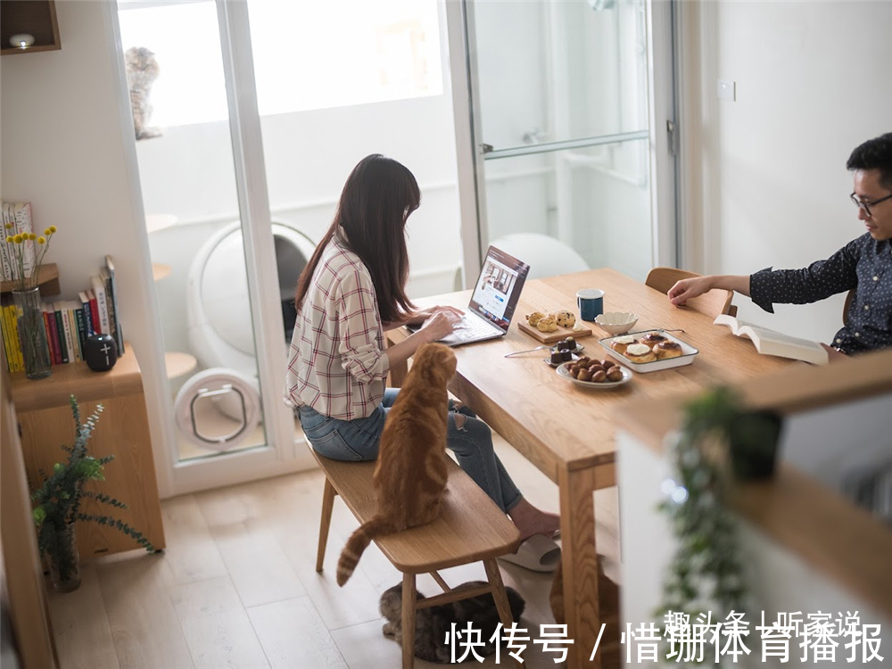 夫妻|90后夫妻的1室1厅婚房:41㎡住下2个人3只猫,入住半年生活太惬意