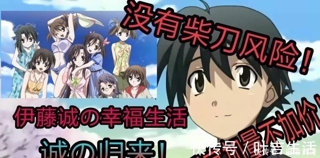 物语系列|网友吐槽后宫漫攻略难度满天星,凭本事把妹的男主,我只服他们