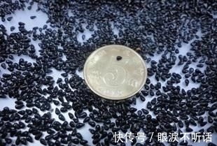 养花高手种“水果”盆景,3种“籽儿”栽盆里,30天长成盆栽