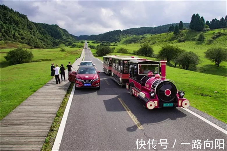 仙女山国家森林公园|2021年已过300天，你错过了多少武隆美景…