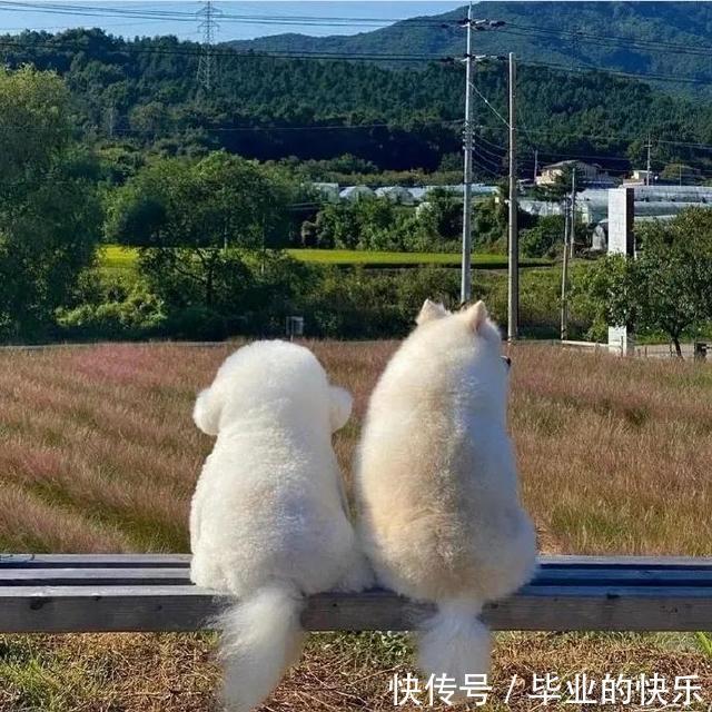 |搞笑图集:你们公司中秋发了啥?网友:发了个通知,说不放假