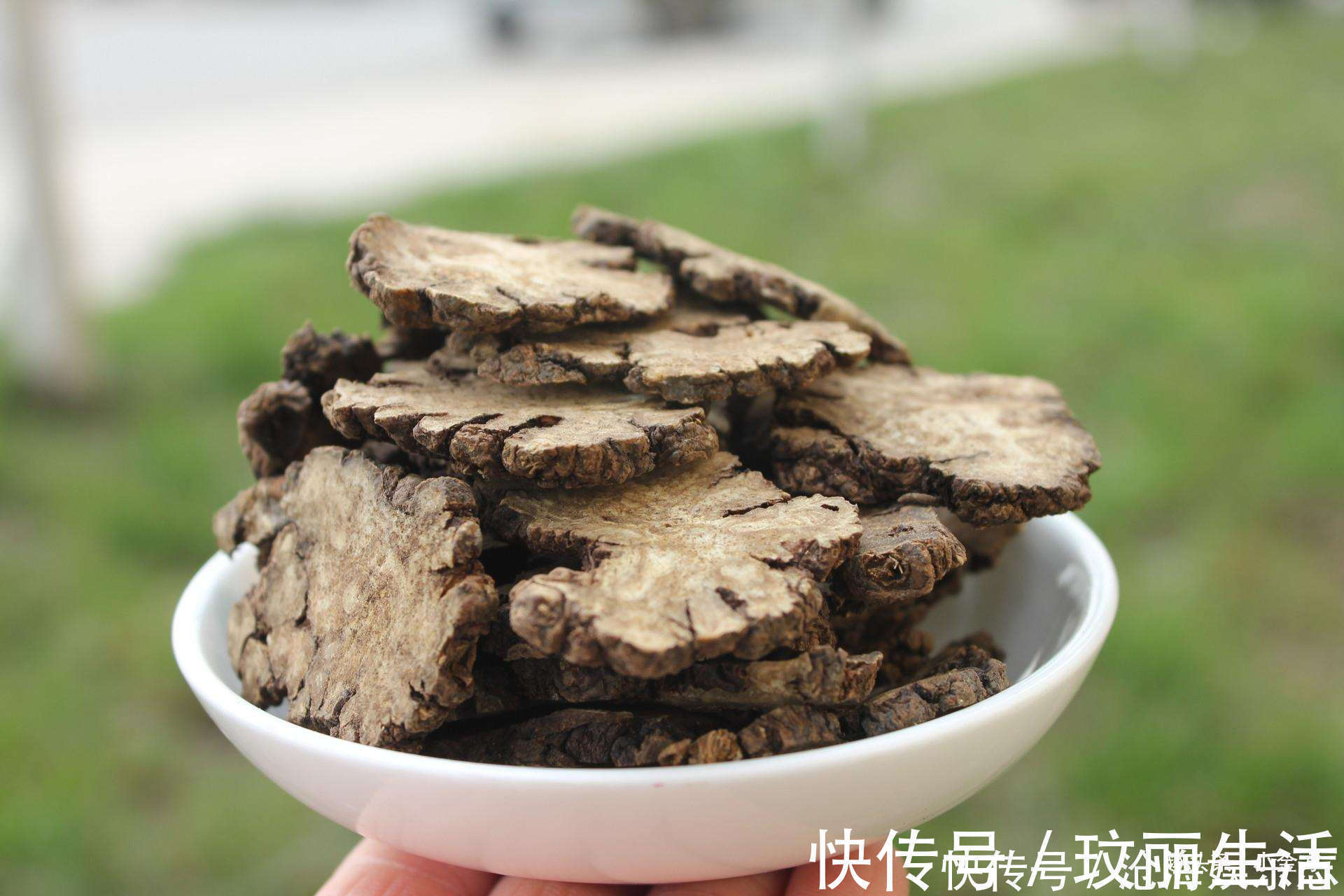 灌溉|千年“妇科第一方”，竟是治疗“高血压”的奇效方剂之一