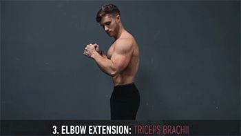 技巧|这样练双杠，胸想不大都难！详细分析动作，让你全面了解训练技巧