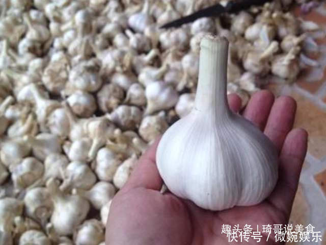 常吃大蒜好处多,但这4种大蒜不要买,今天才弄明白,长知识了!