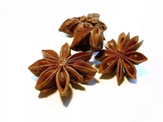 野钓|入秋后,钓鱼根本不用打窝!野钓用这些,水底的鱼全被你钓光了