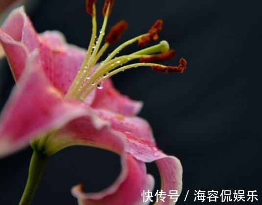 生肖|最会挑丈夫的三个生肖女,婚后生活幸福美满,一生被丈夫宠爱