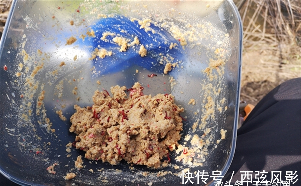 冬钓|冬钓10字要诀,冬季低温变数少,按照这些路数来,爆护其实很容易