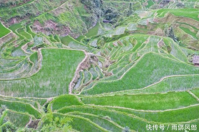 规模|中国最好看的梯田之一，规模宏大、气势磅礴、线条优美，你想看吗