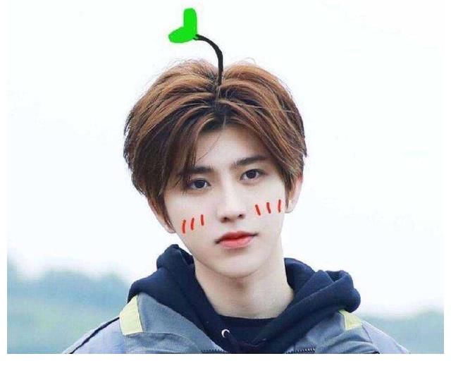 蔡澤坤|蔡徐坤只是藝名？當(dāng)?shù)弥婷螅翰桓倪€真火不了！