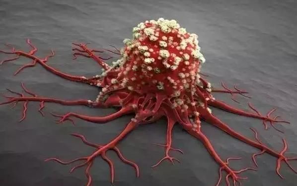 人参|癌症的“清洁剂”找到了,没事吃两口,赛过人参和虫草