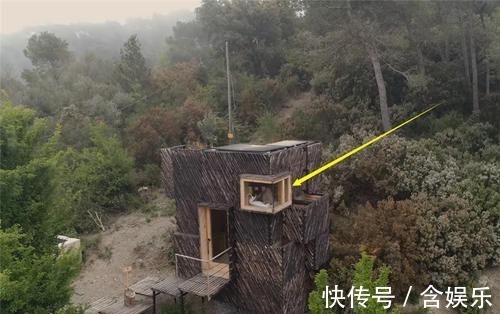 小菜园|他用40棵松树,在荒山野林建起小屋,屋顶种菜生活自给自足