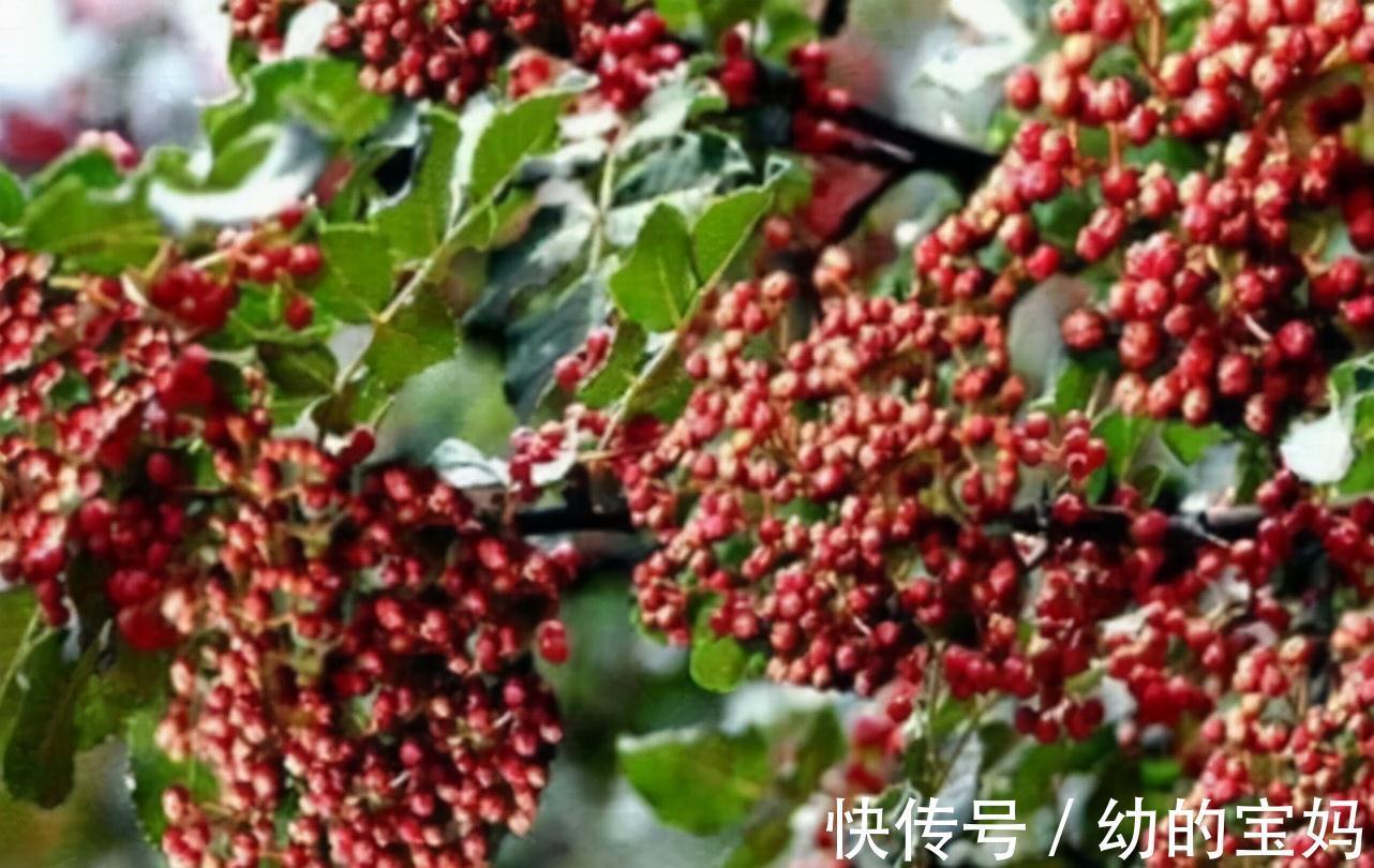 补水润肤|女性想要皮肤好，推荐常吃三种食物，补水润肤，祛皱淡斑