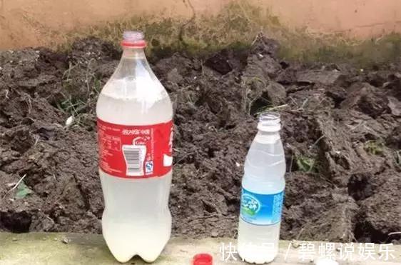 淘米水|很多人问淘米水能直接浇花吗一个步骤教你将其变成绝佳肥料!