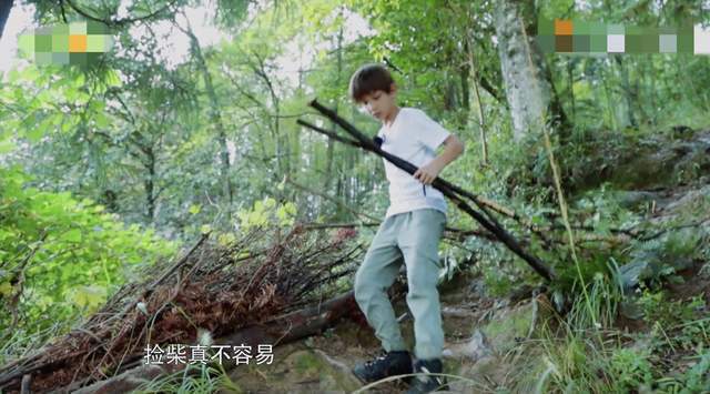 孩子|《盘中餐》爱哭鬼兄弟,都是孩子差距真大,令人无语的是他们老妈