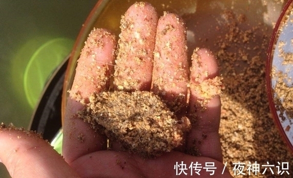 肉夹馍|冬季钓鲫鱼，聚鱼是关键，用这些方法打出立体窝，大鲫鱼连竿上！