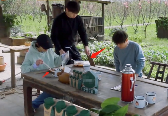 驾驶证 《向往5》又惹争议,黄磊做早餐饭量不够,彭昱畅张子枫吃盒饭