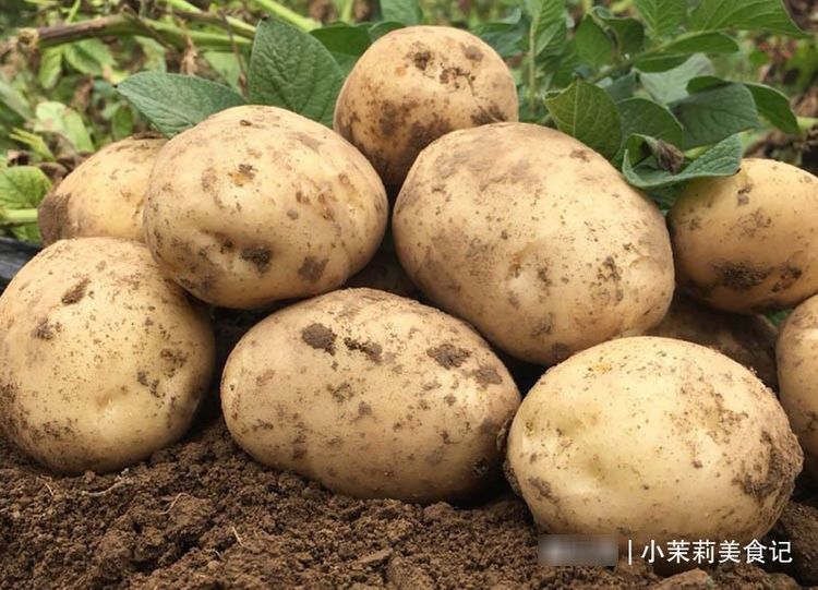 冬天买土豆,记得分清黄皮,白皮和红皮,口感差别大,吃法大不同