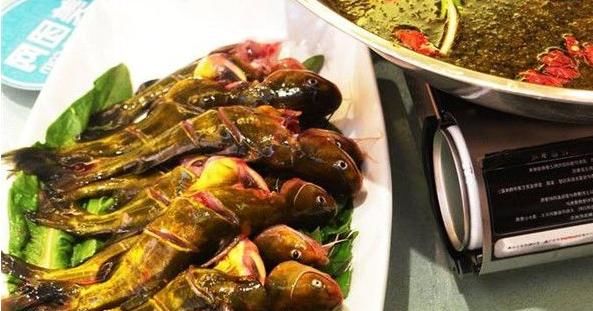 肌肤|春天坚持养生，多吃的食物，消脂排毒素，预防肌肤老化，变年轻