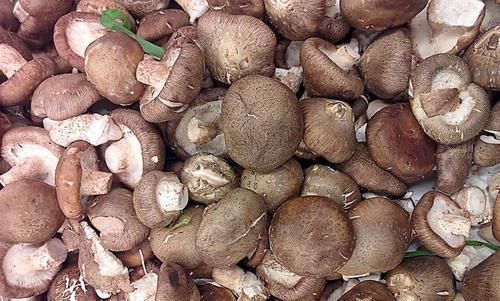 干净|女性常吃5种天然食物,子宫干净了,皮肤细腻光滑,告别妇科病