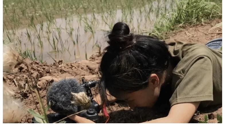 中国文化|李子柒也太厉害了吧，所有的工具，都是她一个人亲手制作的