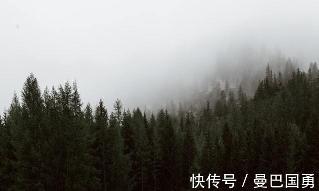 心上人|2周后，风柔雨润，花好月圆，3星座一往情深，许你三生三世缘