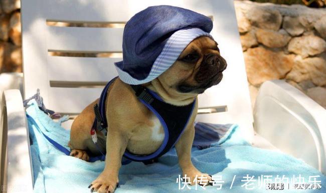 |搞笑段子:我梦见你捡的那个提包被人偷走了