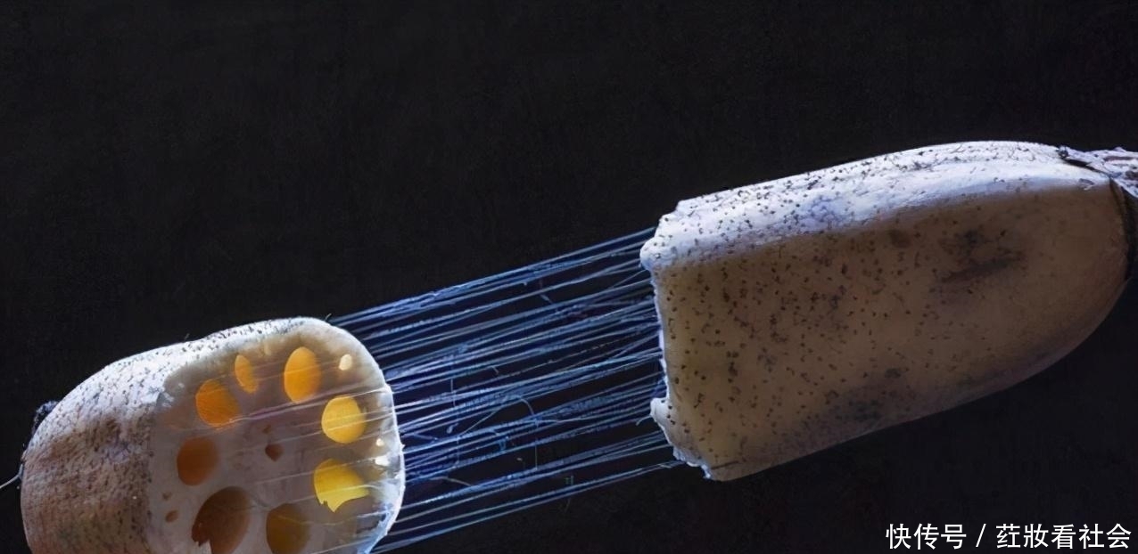 夸人|人们常说的:四体不勤,五谷不分,意思是骂人还是夸人呢?