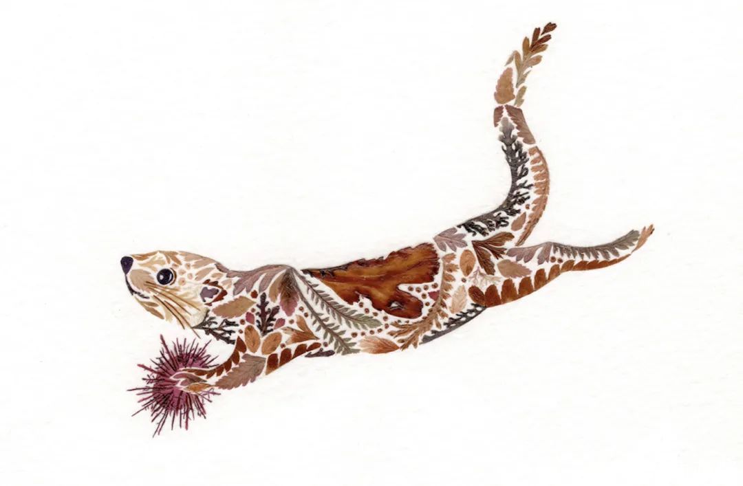 艺术作品&她画画的材料是花瓣,工具是把刀,直接用刀刻出画