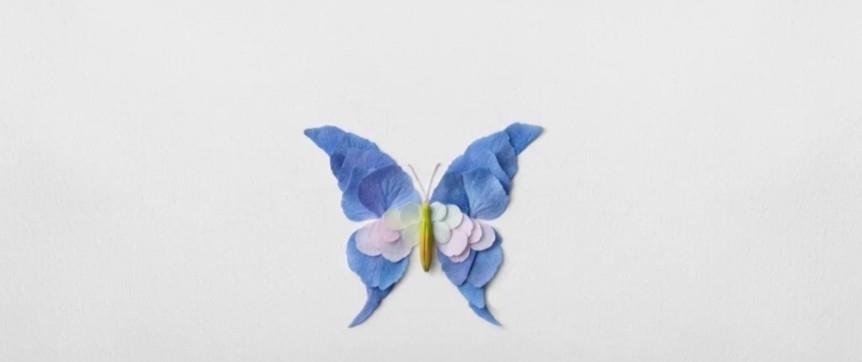 花卉&他拿花瓣、树叶随便一剪一贴就卖23万!网友:买过的人都说“值”