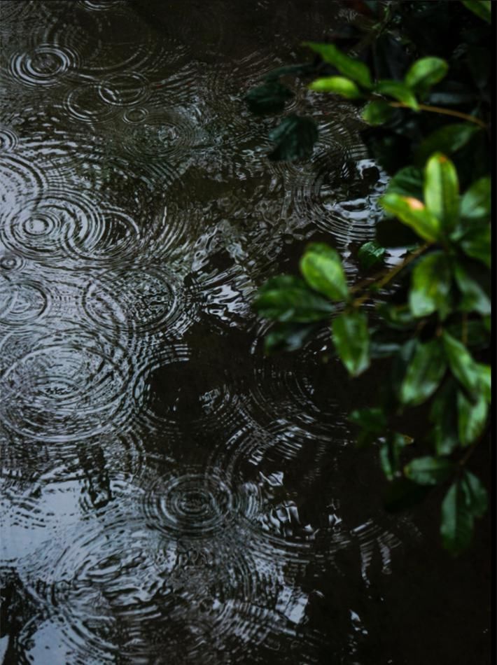  雨滴|一场春雨一场暖，春雨怎么拍才有味这些作品给你灵感