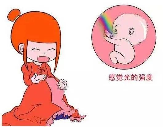 先天性|山东省妇幼眼科副主任巩磊：新生儿眼病筛查，记好这个关键时间点