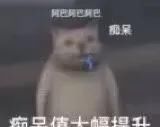 昨天更新|【炉石传说】女王被偷偷移除？新英雄加入！鲍勃亲自教你下棋！
