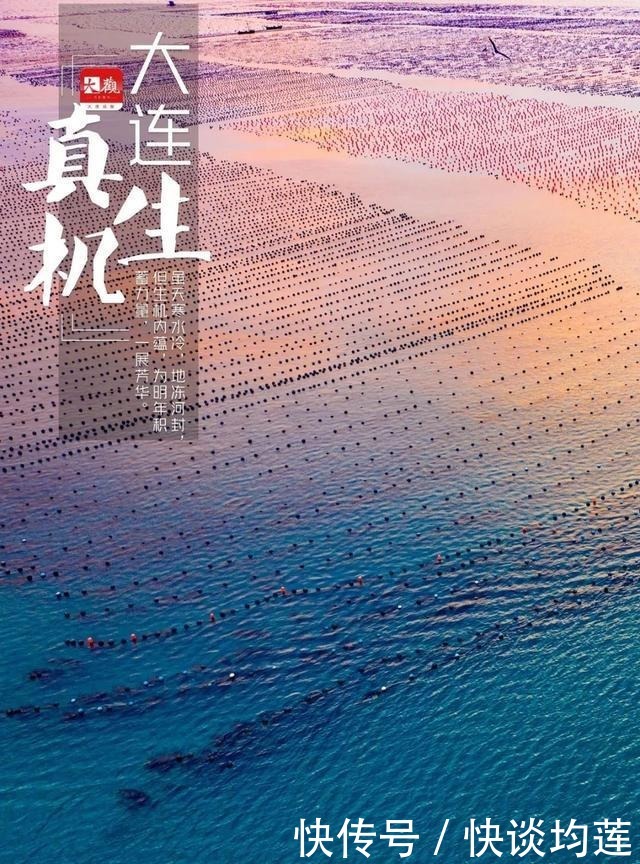 大连|大雪,大连,大生机