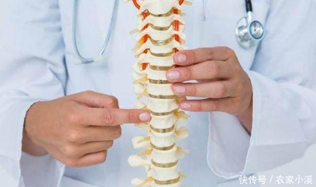 维生素e|原来吃虾皮并不补钙?医生:真正补钙的4种食物,很多人并不爱吃