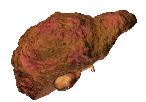 三种人|5岁小男孩,浑身起红疹,提醒蒲公英虽好,三种人要慎用