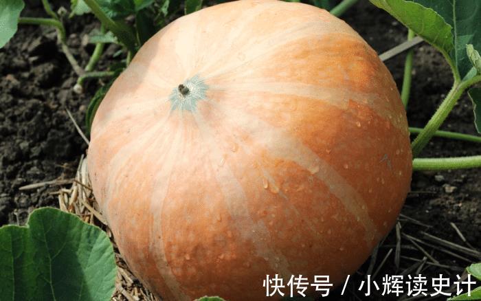 血糖水平|南瓜是糖尿病的“发物”?医生:若想血糖平稳,3种素食要远离