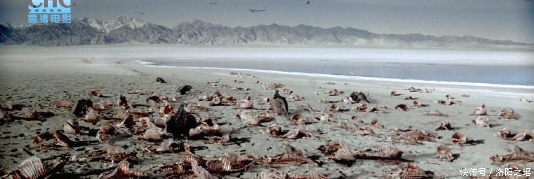 揭露|16年了，这部揭露“剥皮”生意的电影还是不敢看第二遍