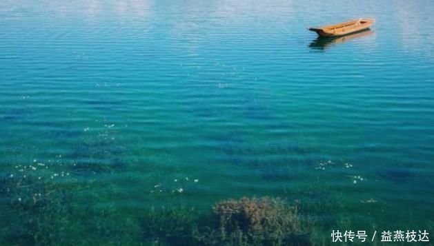 代表作品&苏轼看穿人生的经典之作,句句经典,结尾8字令无数人落泪