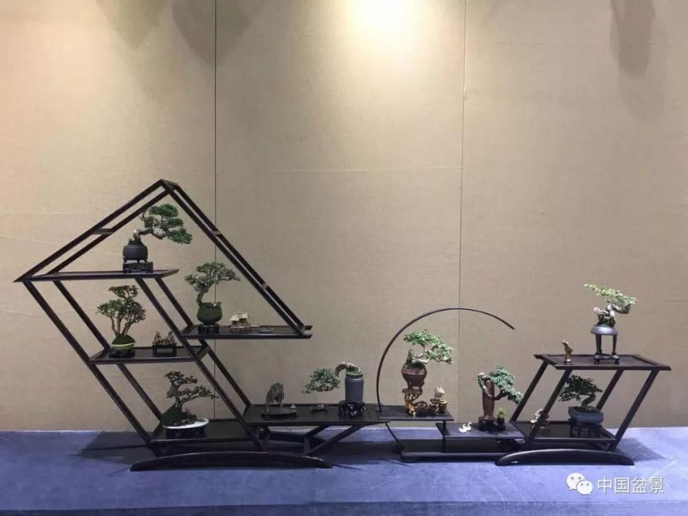 赏玩盆景，一定要是有德之人