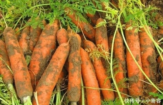 养肝护肝|患有肝病不用怕, 常吃这几样食物, 排毒养肝, 肝慢慢变好!